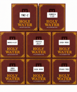 Holy Water 1G Disposable Bible Edition boxes with assorted flavor labels