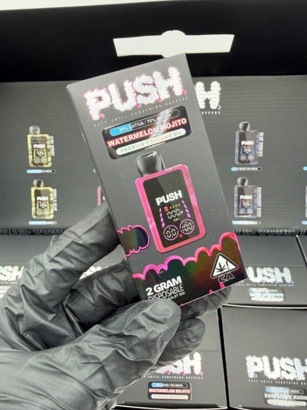 Push 2g Disposable THC Vape