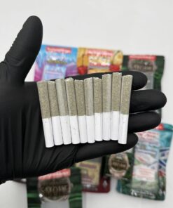 Backpack Boyz Pre Rolls