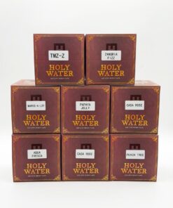 Holy Water 1G Disposable Bible Edition