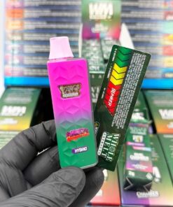 Whole Melt V5 2g dual chamber Disposable