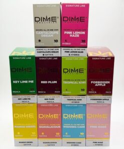 Dime 2G Disposable