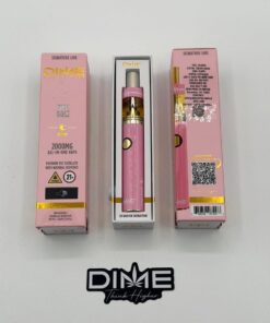 Dime 2G Disposable