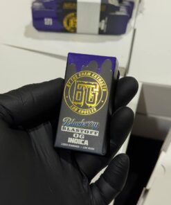 By The Gram Extracts BTG 2G Disposable