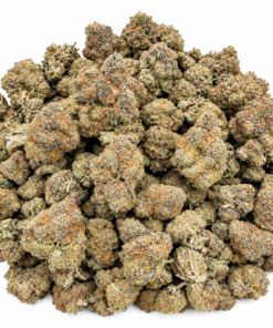Tsunamilatto Strain