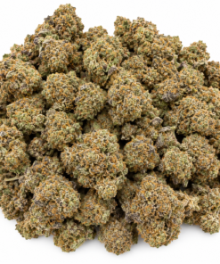 Rocketlato Strain