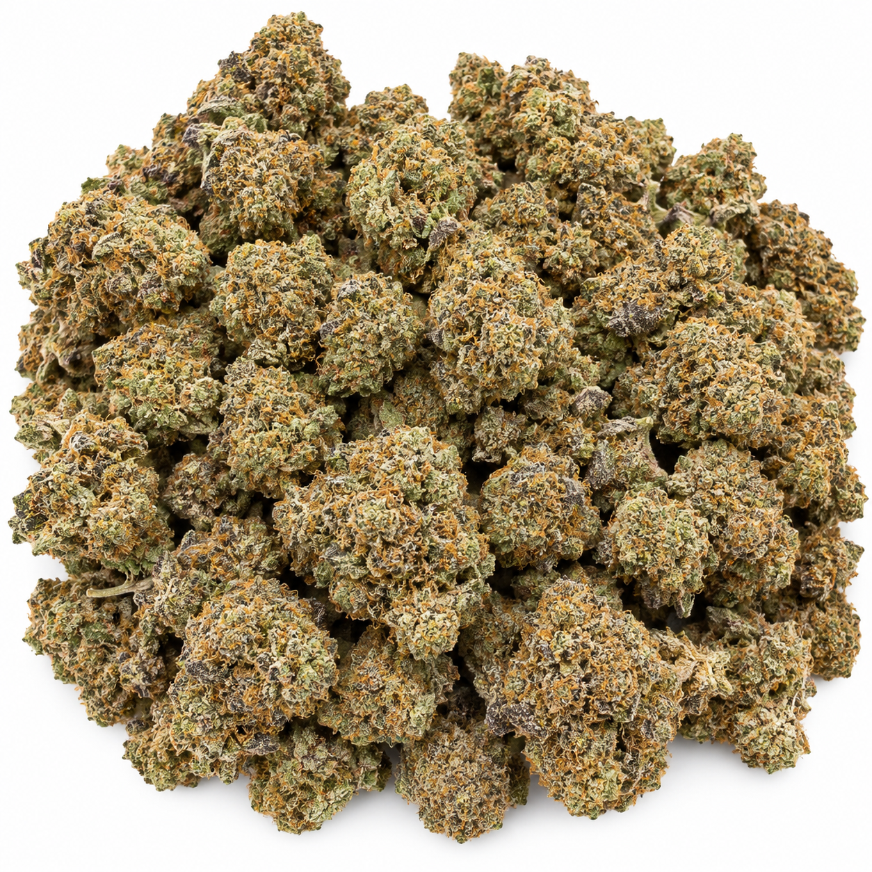 Rocketlato Strain