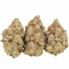 Jet Fuel Gelato Strain