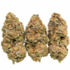 Rainbow Double Runtz Strain