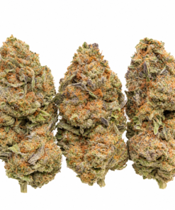 Rainbow Double Runtz Strain