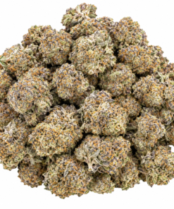 Jet Fuel Gelato Strain