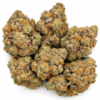 Rocketlato Strain
