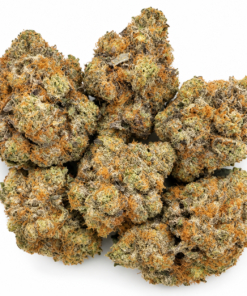 Rocketlato Strain