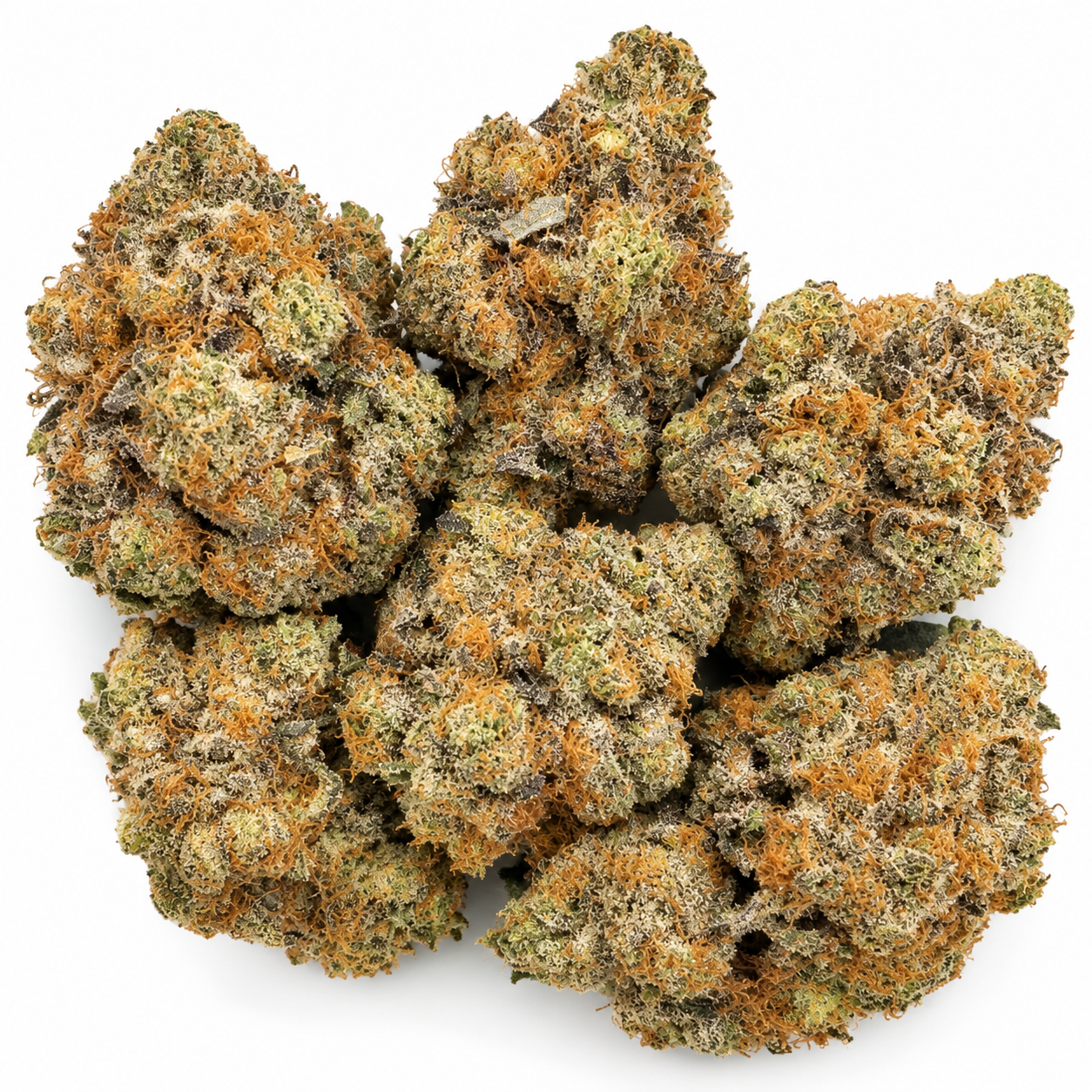 Rocketlato Strain