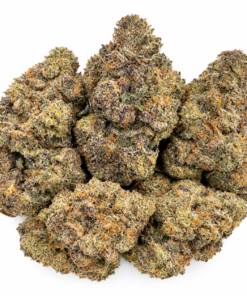 Bubblegum Mai Tai Strain