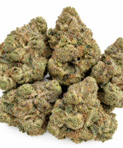 Pink Gumbo Strain