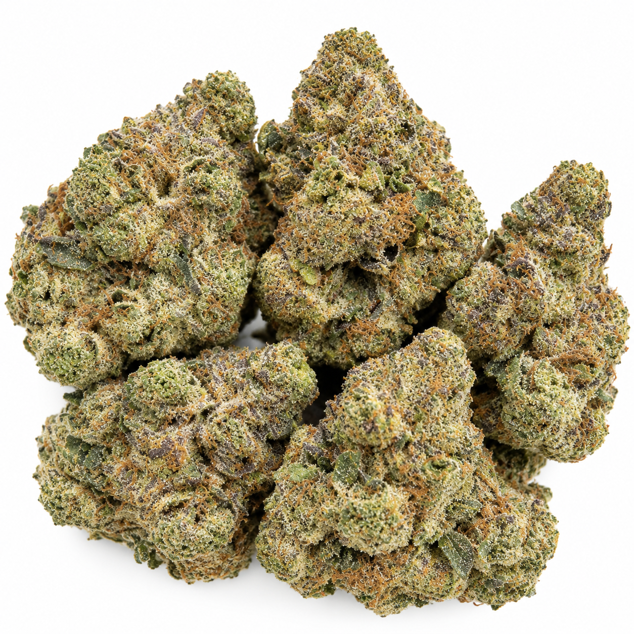 Pink Gumbo Strain