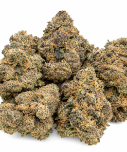 Black Cherry Zonuts Strain