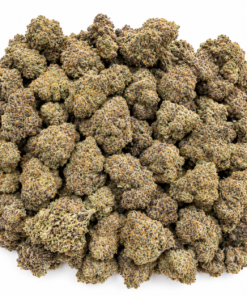 Bubblegum Mai Tai Strain
