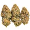 Super Dope Candy Strain